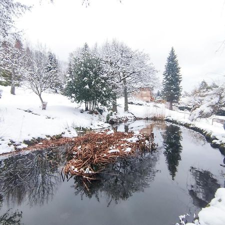 Le Manoir Au Lac Gérardmer Exterior foto